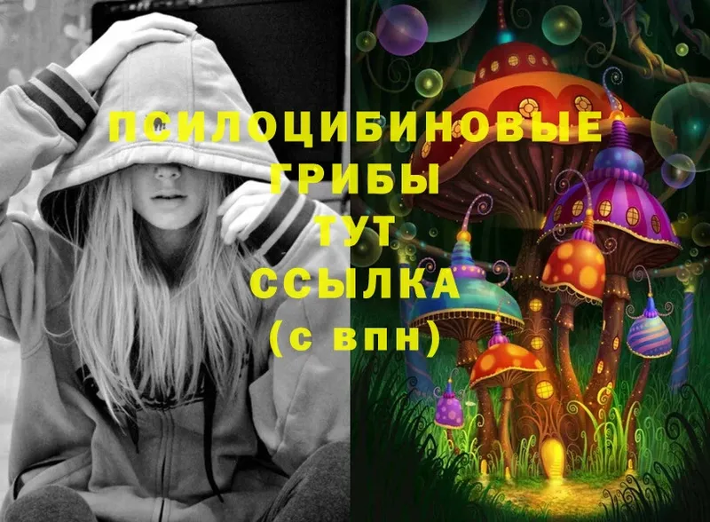 маркетплейс какой сайт  Геленджик  Галлюциногенные грибы Magic Shrooms 